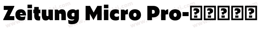 Zeitung Micro Pro字体转换